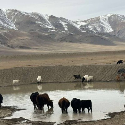 Гадаргын уст цэг 1800 гаруй бий | HuduuMN