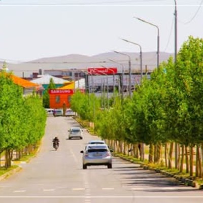 🌲🌳 2,2 САЯ МОД ТАРЬЖЭЭ 🌿☘️ | HuduuMN