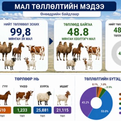 Сүмбэр сумын хэмжээнд өнөөдрийн байдлаар нийт төллөвөл зохих 99,8 мянган эх малын 48.9 хувь буюу 48.8 мянган хээлтэгч мал төллөөд байна. | HuduuMN