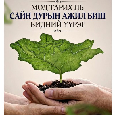 Мод тарих нь сайн дурын ажил биш бидний үүрэг. Ойн тухай хуулийн 31 дүгээр зүйлийн 31.1 дэх хэсэг  #Тэрбум_мод_Үндэсний_хөдөлгөөн #Байгальд_өгсөн_бүхэн_буцаад_ирдэг | HuduuMN