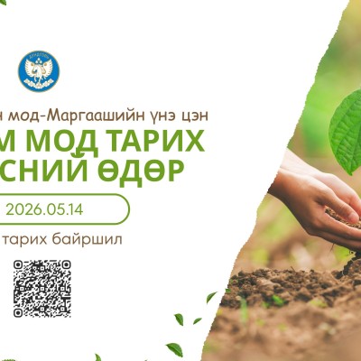 “ТЭРБУМ МОД” ҮНДЭСНИЙ ХӨДӨЛГӨӨНД НЭГДЭЦГЭЭЕ  | HuduuMN
