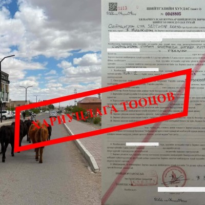 ХОРИГЛОСОН БҮСЭД МАЛ ОРУУЛСАН ИРГЭНД ТОРГУУЛЬ НОГДУУЛЛАА  | HuduuMN