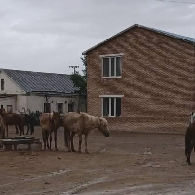 МАЛ БҮХИЙ ИРГЭДИЙН АНХААРАЛД | HuduuMN