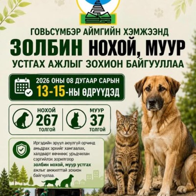 Говьсүмбэр аймгийн хэмжээнд 2026 оны 08 дугаар сарын 13-15-ны өдрүүдэд золбин нохой, муур устгах ажлыг зохион байгууллаа. | HuduuMN