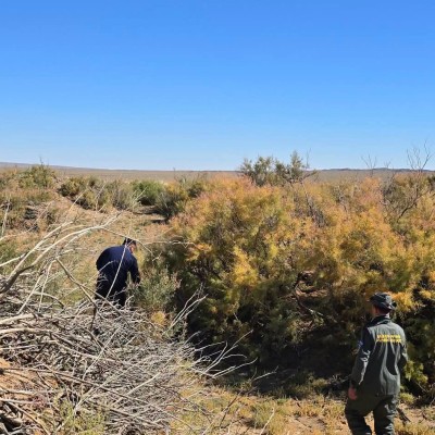 ДУНДГОВЬ АЙМГИЙН ЗАГАН ОЙН САНД ОЙ ЗОХИОН БАЙГУУЛАЛТЫН АЖЛЫГ УЛСЫН ТӨСВИЙН ХӨРӨНГӨӨР ХЭРЭГЖҮҮЛЖ БАЙНА | HuduuMN