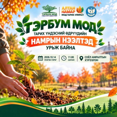 ТЭРБУМ МОД ТАРИХ ҮНДЭСНИЙ ӨДРҮҮДИЙН НАМРЫН НЭЭЛТ | HuduuMN