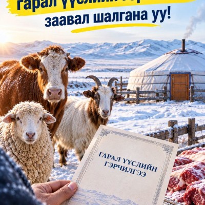 Мал, мах худалдан авахдаа гарал үүслийн гэрчилгээг заавал шалгаарай!  #МАЛ_МАХ-2026 | HuduuMN