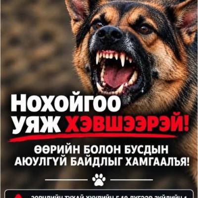 Баянхонгор аймгийн Цагдаагийн газар | HuduuMN