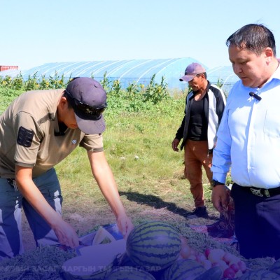 НИЙТИЙН ЭЗЭМШЛИЙН ТАЛБАЙ, ЗАМ ДАГУУ МОД ТАРИХ АЖЛЫГ ЭРЧИМЖҮҮЛНЭ | HuduuMN