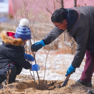 Мод тарих ажилд анги, хамт олноороо нэгдэж байна | HuduuMN
