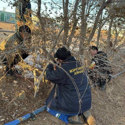 ГУРВАНСАЙХАН СУМЫН ТАМГЫН ГАЗРЫН АЖИЛЧИД ЗАМ ДАГУУХ НОГООН БАЙГУУЛАМЖИЙГ ЦЭГЦЛЭХ АЖЛЫГ ЭХЛҮҮЛЛЭЭ Ингэснээр мод улам өндөр болж ургах, тээврийн хэрэгслүүд замын  хөдөлгөөнд оролцоход харагдах байдал сайжирах, хог шороог цэвэрлэхэд хялбар байх зэрэг олон да | HuduuMN