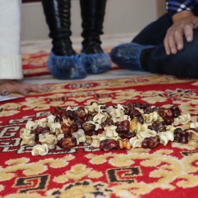 ШАГАЙ ШҮҮРЭХ, НЯСЛАХ ТЭМЦЭЭН” ЗОХИОН БАЙГУУЛАГДЛАА. | HuduuMN