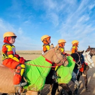 ✅Засгийн газрын 2025 оны 41 дүгээр тогтоолоор жил бүрийн  11 дүгээр сарын 1-ний өдрөөс 5 дугаар сарын 1-ний өдрийг хүртэлх хугацаанд хурдан морины уралдаан, сунгаа, үсэргээнд 18 нас хүрээгүй хүүхдээр хурдан морь унуулахыг хориглосугай | HuduuMN