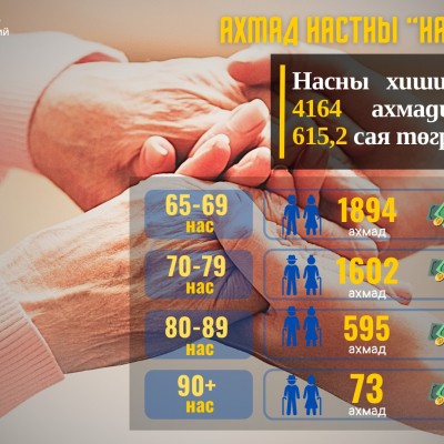 НИЙГМИЙН ХАЛАМЖИЙН ҮЙЛЧИЛГЭЭ | HuduuMN