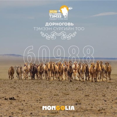 ”Их говийн тэмээ 2026” /2026.01.31-02.01/  | HuduuMN