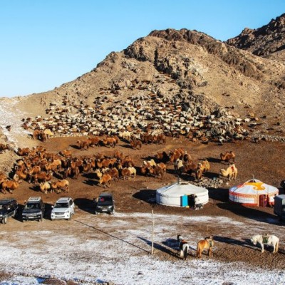 Улсын аварга малчин, саальчин, тариаланчдын нэрс тодорлоо | HuduuMN