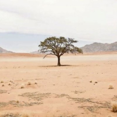 Нутаг дэвсгэрийн 90.3 хувь нь цөлжилтөд өртжээ | HuduuMN