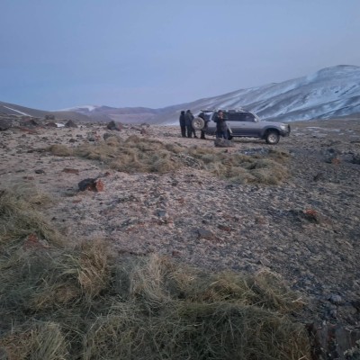 Биотехникийн арга хэмжээ үргэлжилж байна. | HuduuMN