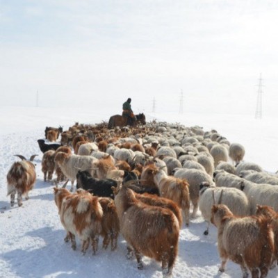 УЛСЫН АВАРГА МАЛЧДАД ОЛГОХ ШАГНАЛЫГ СОНГОЛТТОЙ БОЛГОЖЭЭ ХХААХҮ-ийн сайд Мягмарсүрэнгийн Бадамсүрэн : "Улсын аварга малчин" -д улаан халзтай гэр олгохыг зогсоогоогүй. Шагналыг сонголттой болгосон. Тодруулбал  1️⃣Улаан халзтай гэр 2️⃣Старлинк, сэргээгдэх эр | HuduuMN
