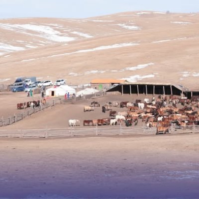 БАТ-ӨЛЗИЙ СУМЫН БҮРЭГТИЙ БАГААС УЛСЫН АВАРГА МАЛЧИД ТӨРЛӨӨ | HuduuMN